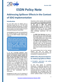 Addressing Spillover Effects in the Context of SDG Implementation