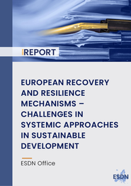 European Recovery and Resilience Mechanisms