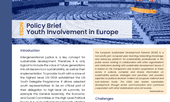 Involving Youth in Policy Making