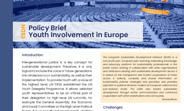 Involving Youth in Policy Making